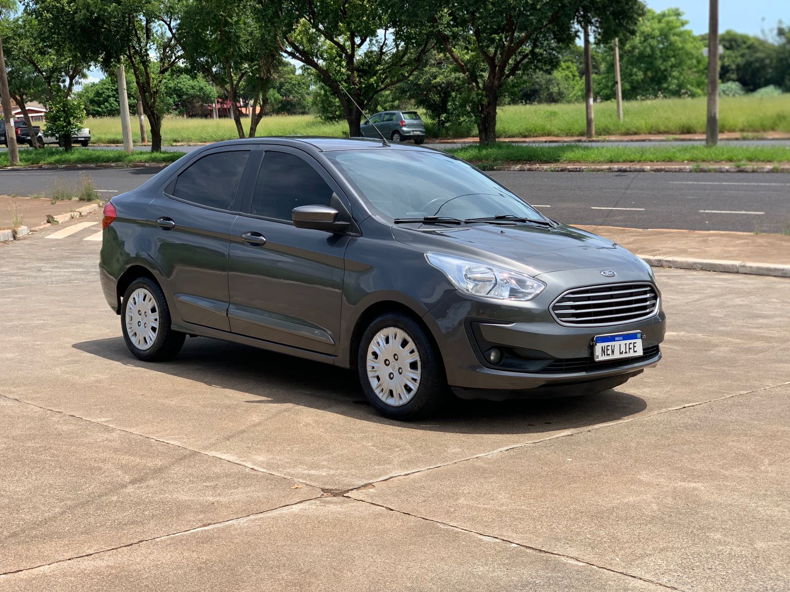 WhatsApp Image 2026-02-14 at 11.23.13